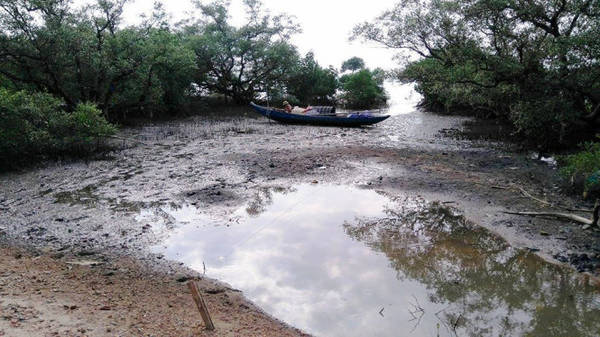 Người dân neo đậu ghe thuyền để sinh hoạt dưới những tán rừng nguyên sinh - Ảnh: LÊ TRUNG