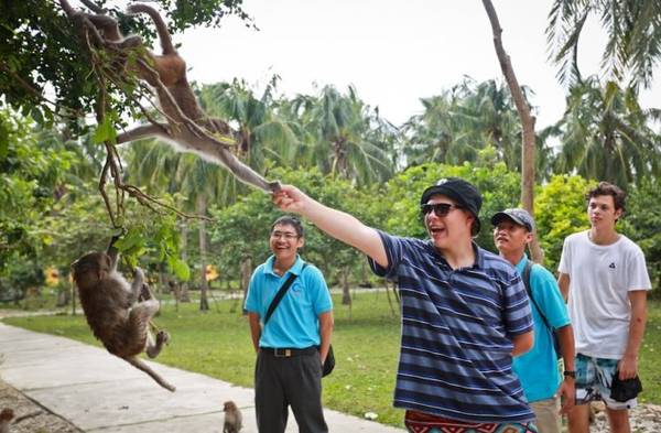 Đàn khỉ trên đảo trở lên dạn dĩ và thân thiện hơn với con người - Ảnh: Tiến Thành