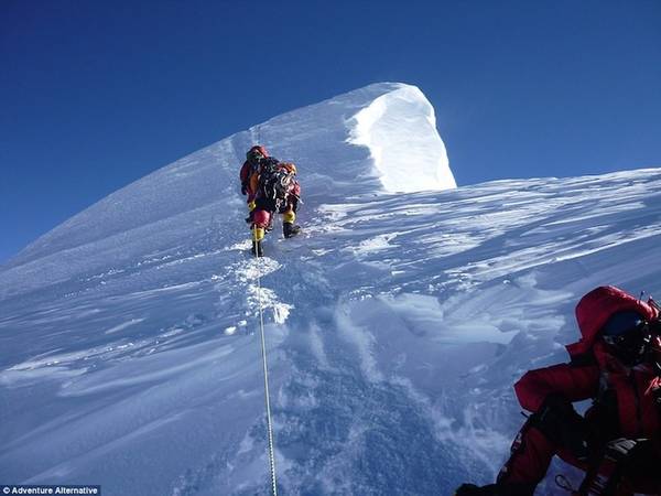 Gavin có kinh nghiệm leo núi cực dày dạn, 6 lần chính phục Everest, trong đó 3 lần không cần sự trợ giúp của bình oxy (thứ được coi là cần thiết nhất cho người leo núi). Lần khó khăn nhất là vào năm 2005, khi anh đi một mình và cũng không có bình oxy.