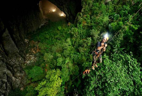 Các chuyên gia thậm chí đã gọi khu rừng trong hang này là “vườn địa đàng” nhằm tôn vinh vẻ đẹp tuyệt mĩ này.