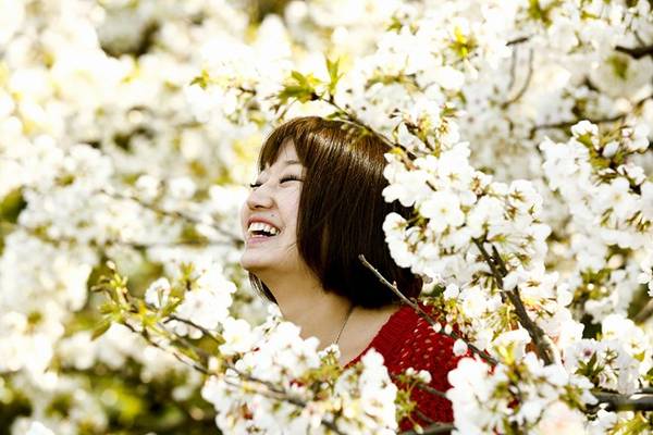 Một phụ nữ mỉm cười giữa hoa anh đào ở vườn Đông, cung điện hoàng gia, Tokyo. Ảnh: Thomas Peter/Reuters.