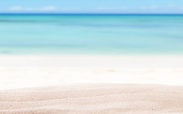 3. “Bãi biển nhiều cát quá.” Không rõ họ còn muốn bãi biển có gì ngoài cát.