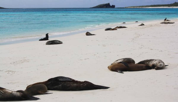 Quần đảo Galapagos - một trong những địa danh đầu tiên được UNESCO đưa vào danh sách di sản thế giới.