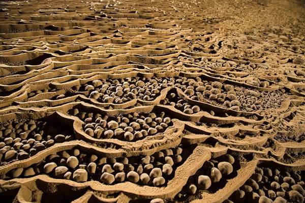 Những viên ngọc trai hang động độc đáo hình thành nhờ hàng nghìn năm tích tụ và xói mòn. Ảnh: Ryan Deboodt.