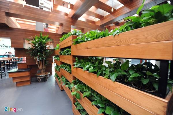 Cây xanh nhờ có ánh sáng tự nhiên, phát triển tốt ở khắp nơi trong nhà hàng. Giữa phần mái lợp của nhà hàng là khoảng trống thoáng khí được làm mát và làm sạch thường xuyên bằng hệ thống phun nước lấy từ bể chứa.