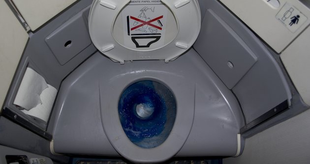 Không nên chạm tay vào bệ toilet ở những nơi công cộng, kể cả trên máy bay.