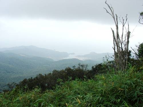  Cảnh đẹp hữu tình nhìn từ đỉnh Núi Chúa. Ảnh: vqgnuichua.