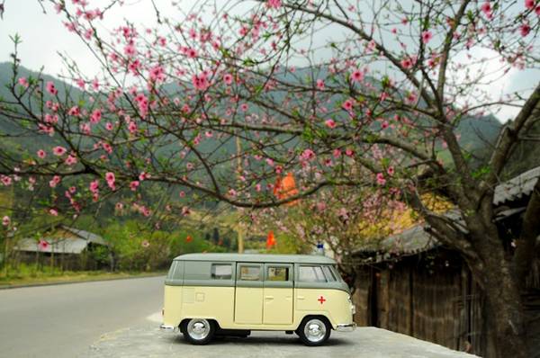 Và trông giống như một chiếc ôtô thật đỗ dưới tán hoa đào nở rộ tại Đồng Văn.