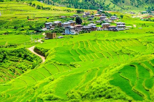 Nền nông nghiệp hữu cơ: Bhutan tự hào về nền nông nghiệp có nguồn gốc 100% hữu cơ và độ bao phủ rừng chiếm 72% diện tích đất nước. Bảo vệ môi trường và nâng cao sức khoẻ cho người dân là mục tiêu quan trọng hàng đầu của quốc gia nhỏ bé này.