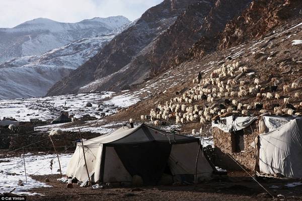 Nhiếp ảnh gia Cat Vinton đã dành hơn 2 tháng sống với một gia đình người Chang Tang-Pa ở biên giới Tây Tạng - Ấn Độ. Cô ngủ trong lều làm từ da trâu yak cùng họ.