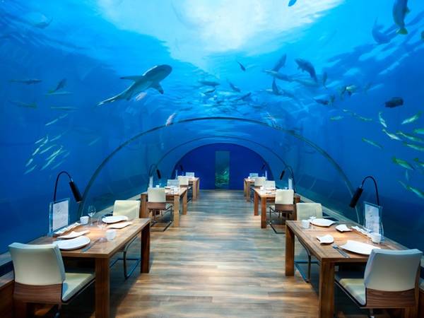 Nhà hàng dưới biển Ithaa, Maldives