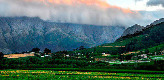  Thung lũng Napa, Nam Phi nằm cách Cape Town khoảng 75km. Đây là một thị trấn trồng nho kiểu Hà Lan, nơi sản xuất nhiều loại rượu vang nổi danh như Syrahs và Pinitages.