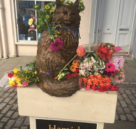 Đài tưởng niệm con mèo được yêu thích ở St. Andrews. Hamish McHamish là con mèo Ginger sống ở St. Andrews đến khi nó chết năm 2014. Nó sống lang thang quanh thị trấn và có rất nhiều người theo dõi trên các phương tiện mạng xã hội.