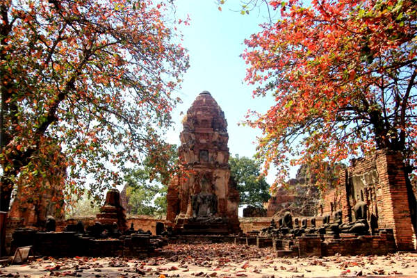 Khung cảnh yên bình ở Ayutthaya.
