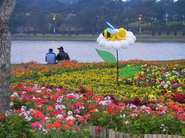 Đủ các sắc hoa rực rỡ được trồng dọc theo bờ Hồ Xuân Hương trong dịp Festival Hoa. Ảnh: caytrongvatnuoi