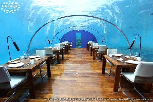 Nhà hàng Ithaa ở resort Conrad Maldives Rangali Island, nhà hàng dưới biển đầu tiên trên thế giới