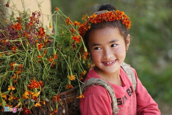 Bé Lý Thị Khiêu (9 tuổi) ở xã Sủng Là đeo gùi hoa chụp ảnh cùng du khách. Sau mỗi tấm hình, bé sẽ được các cô, chú, anh, chị cho tiền.
