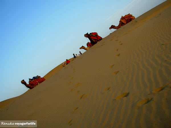 Sa mạc ở Rajasthan (Ảnh: Renuka)