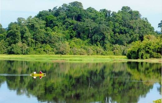 Vườn quốc gia Nam Cát Tiên thuộc tỉnh Đồng Nai, nằm cách Sài Gòn khoảng 150km về phía đông, là một điểm tham quan, nghỉ dưỡng được nhiều người biết đến đã nhiều năm, nay đột nhiên “sốt xình xịch” trở lại. (Nguồn: Internet)