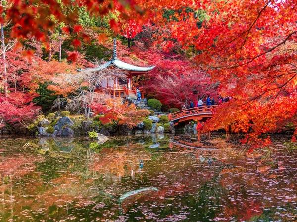 Kyoto, Nhật Bản, vừa được Travel + Leisure vinh danh là thành phố tuyệt nhất thế giới dựa trên bình chọn của độc giả. Từng là kinh đô của Nhật hơn 1.000 năm, thành phố này có rất nhiều đền miếu, vườn và công viên để bạn khám phá. 