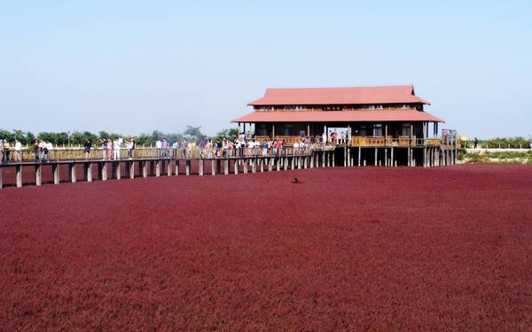 Người ta gọi nó là biển Đỏ bởi khu vực rộng lớn này được bao phủ bởi một loại rong biển màu đỏ có tên là Sueda. 