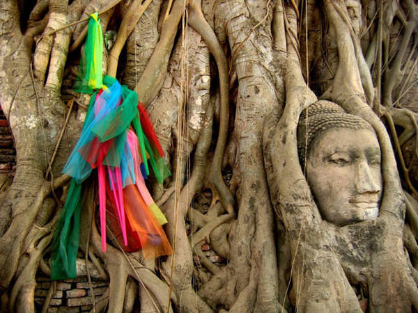 Ayutthaya là một trong những di tích được biết đến nhiều nhất trong những tour du lịch Thái Lan.