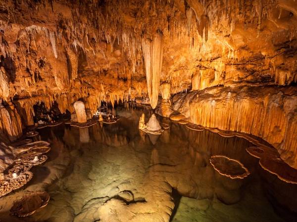 Missouri: Onondaga là một trong những hang động đẹp nhất nước Mỹ, với những thạch nhũ sống và các lá súng đá được hình thành dưới mặt nước.