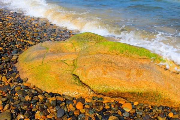 Những lúc thủy triều xuống quang cảnh càng ngoạn mục hơn với vô số những tảng đá mấp mô rêu phủ xanh rì. 