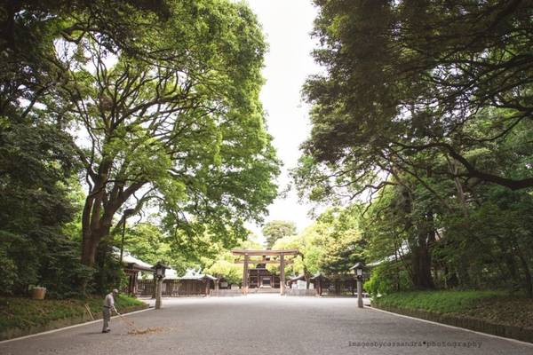11h30 sáng: Leo lên tàu điện ngầm và thẳng tiến đến Yoyogi Station để tới ngôi đền Meiji nổi tiếng. Với hơn 100.000 cây xanh được trồng quanh đền, nơi đây sẽ là điểm trú ngụ tuyệt vời để tránh cái nắng oi bức giữa trưa nóng nực. Ảnh: Cassandra O'Leary