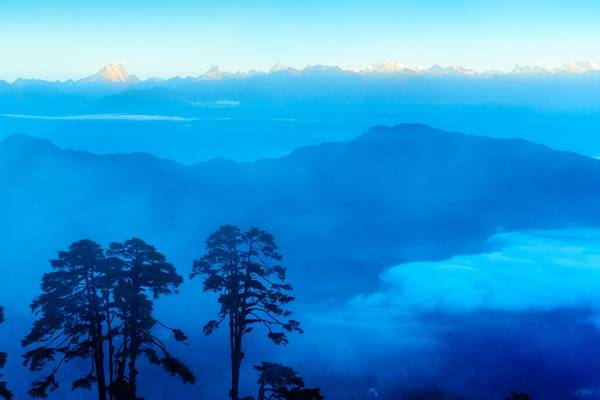 Anh Nguyễn Thanh Tùng cho biết, anh chụp tấm hình này vào buổi sáng khi trên đường từ Thimphu sang cố đô Punakha, thấy toàn dải núi tuyết Himalaya rực sắc mặt trời khi bình minh lên quanh khu rừng thông cổ thụ trên đèo Dochula. 