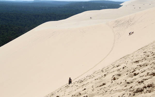 <strong>Đụn cát Pilat:</strong> Đây là đụn cát cao nhất châu Âu, cách Bordeaux 60 km. Nó có thể tích lên đến 60 triệu m<sup>3</sup>, rộng 500 m, dài 2,7 km và cao khoảng 110 m.