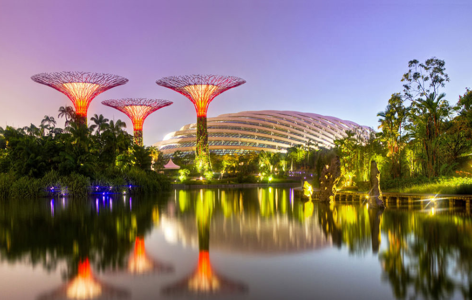 Gardens by the Bay hay với tên gọi khác là “Những khu vườn bên Vịnh”, được trải rộng với diện tích 101 hecta và là một điểm đến hấp dẫn khách du lịch bậc nhất của đảo quốc Sư tử. Ảnh: Singapore-guide.com