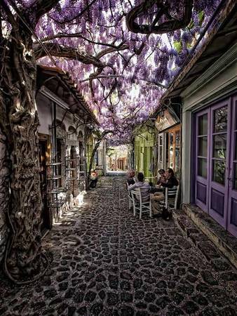 Con đường phủ đầy hoa tím ở Molyvos, Lesvos, Hy Lạp. Molyvos là một ngôi làng du lịch thuộc đảo Lesvos, Hy Lạp. Ngôi làng ven biển lãng mạn này được rất nhiều cặp tình nhân lựa chọn để đi hưởng tuần trăng mật. 