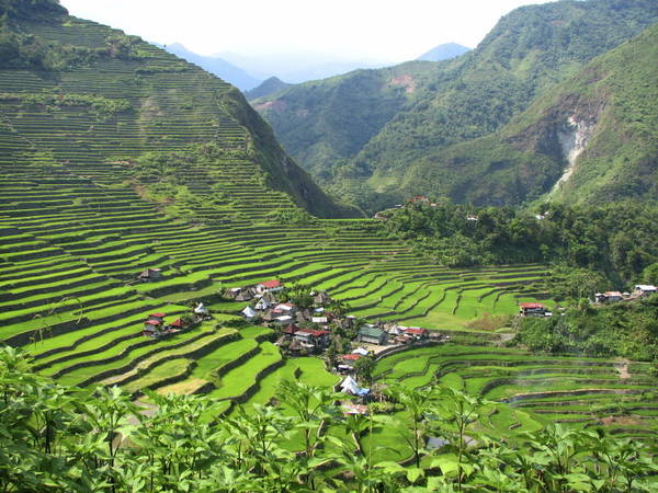 du lịch philippines - Ruộng bậc thang Cordilleras. 