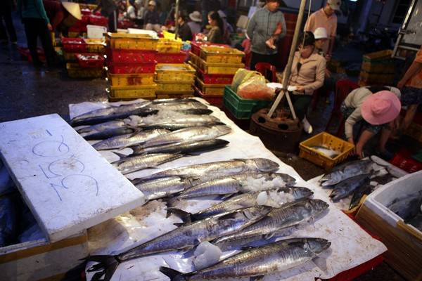 Cá từ chợ cá Hàm Tử được vận chuyển đi các nơi tiêu thụ