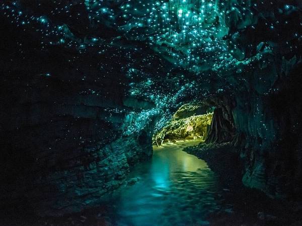 Hang đom đóm, Waitomo, New Zealand: Những chiếc hang ở đây được hàng nghìn con đom đóm thắp sáng về đêm, khiến cảnh tượng lung linh như một dải ngân hà.
