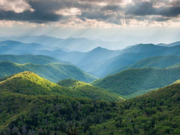 North Carolina: Khu vực dọc đường Blue Ridge qua cao nguyên Appalachia là một trong những vùng có hệ sinh thái đa dạng nhất thế giới, với hơn 1.600 loài thực vật, 54 loài động vật có vú và 159 loài chim.