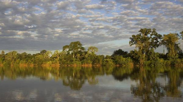 Khu bảo tồn Pantanal