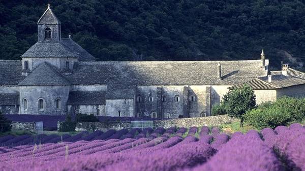 <strong>2. Provence: </strong>Vào mùa hè, người dân khắp nước Pháp và du khách thế giới thường đổ về những cánh đồng hoa oải hương tím ngắt để thưởng ngoạn. Khắp nơi tràn ngập màu tím và mùi hương dịu dàng của oải hương.