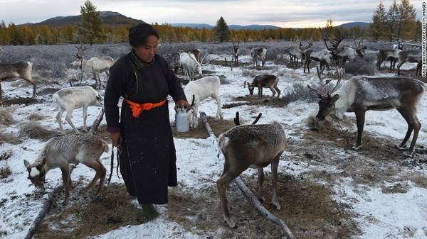 Sinh sống ở vùng Siberia và tỉnh Khovsgol cực Nam của Mông Cổ, người Dukha phụ thuộc vào tuần lộc trên nhiều phương diện của cuộc sống, từ sinh tồn, văn hóa tới tâm linh. Họ cũng là bộ tộc chăn tuần lộc duy nhất ở Mông Cổ.
