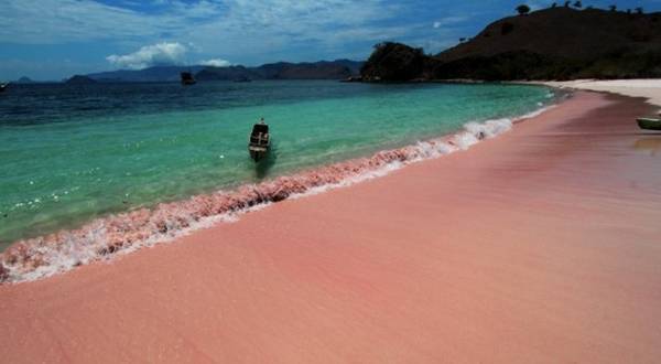 Sát mép nước, màu hồng cát biển càng sậm. Ảnh: WordPress.