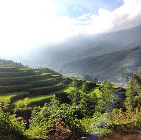 Những thửa ruộng bậc thang ở các tỉnh miền núi Tây Bắc Việt Nam cũng là điều khiến du khách nước ngoài thích thú.