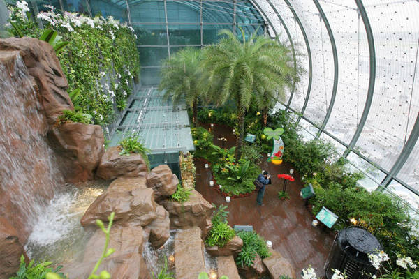 Vườn bướm ở sân bay quốc tế Changi, Singapore - Ảnh:ibtimes