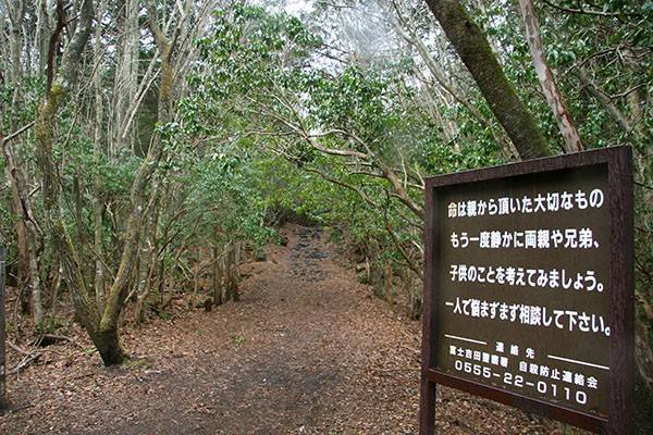 Rừng Aokigahara (Nhật Bản)
