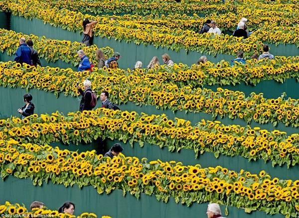Bảo tàng Van Gogh, Amsterdam, Hà Lan: Có lẽ đây là mê cung lộng lẫy nhất thế giới, được làm từ 125.000 cây hoa hướng dương, lấy cảm hứng từ những bức họa nổi tiếng của Van Gogh.