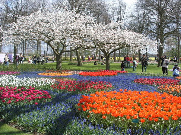 Công viên Keukenhof, điểm hẹn của du khách đến Hà Lan vào mùa xuân.