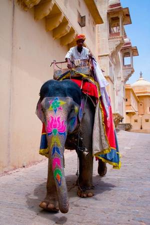 Jaipur được mọi người biết tới với biệt danh “thành phố hồng” của Ấn Độ