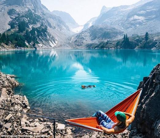 @sam_davis chia sẻ ảnh chó cưng đang thích thú bơi lội ở khu bảo tồn hoang dã hồ Alpine.