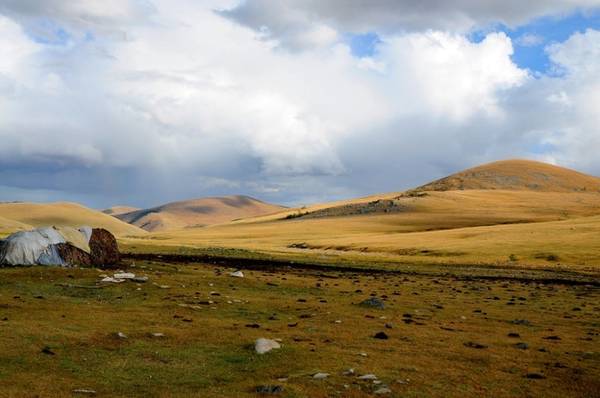 Những đồng cỏ rộng lớn cũng được phủ một màu vàng khi vào thu. Cảnh sắc Mông Cổ vừa hoang sơ vừa cuốn hút, khiến nơi đây là điểm đến hấp dẫn với các du khách thích khám phá.