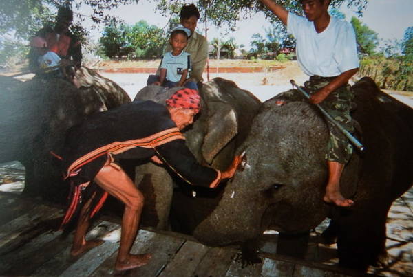 Già làng Ama Kông làm nghi lễ dành cho voi trước ngày hội voi, được tổ chức tại Buôn Đôn - Ảnh: Niimura Yoko
